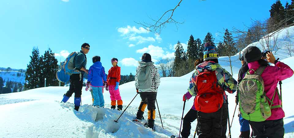 snowshoe